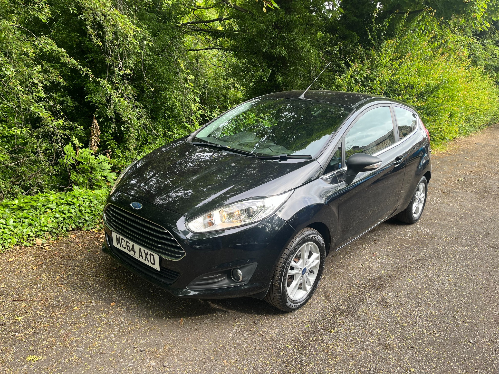 2015 Ford Fiesta 1.25 Zetec exterior view