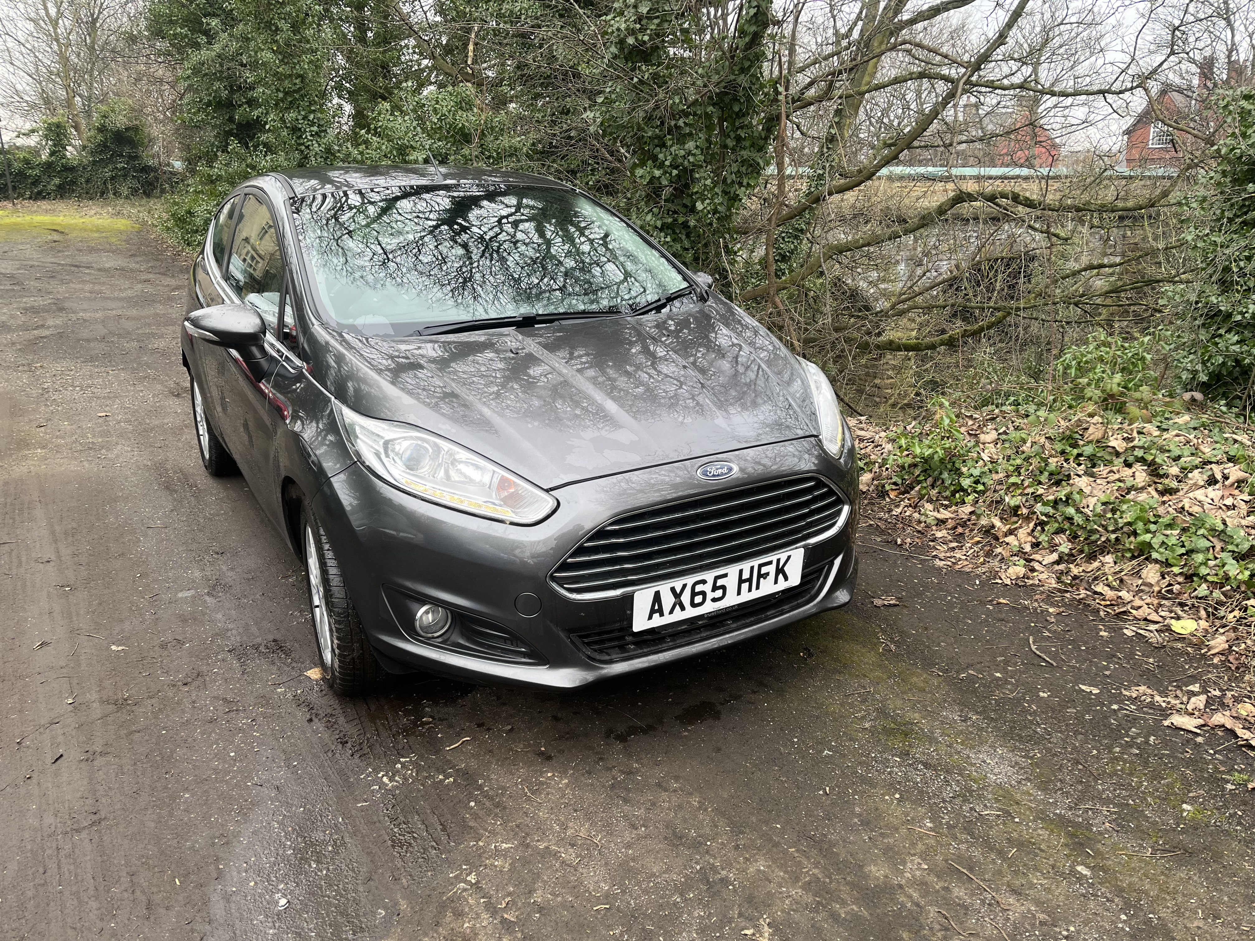 2016 Ford Fiesta Zetec exterior view