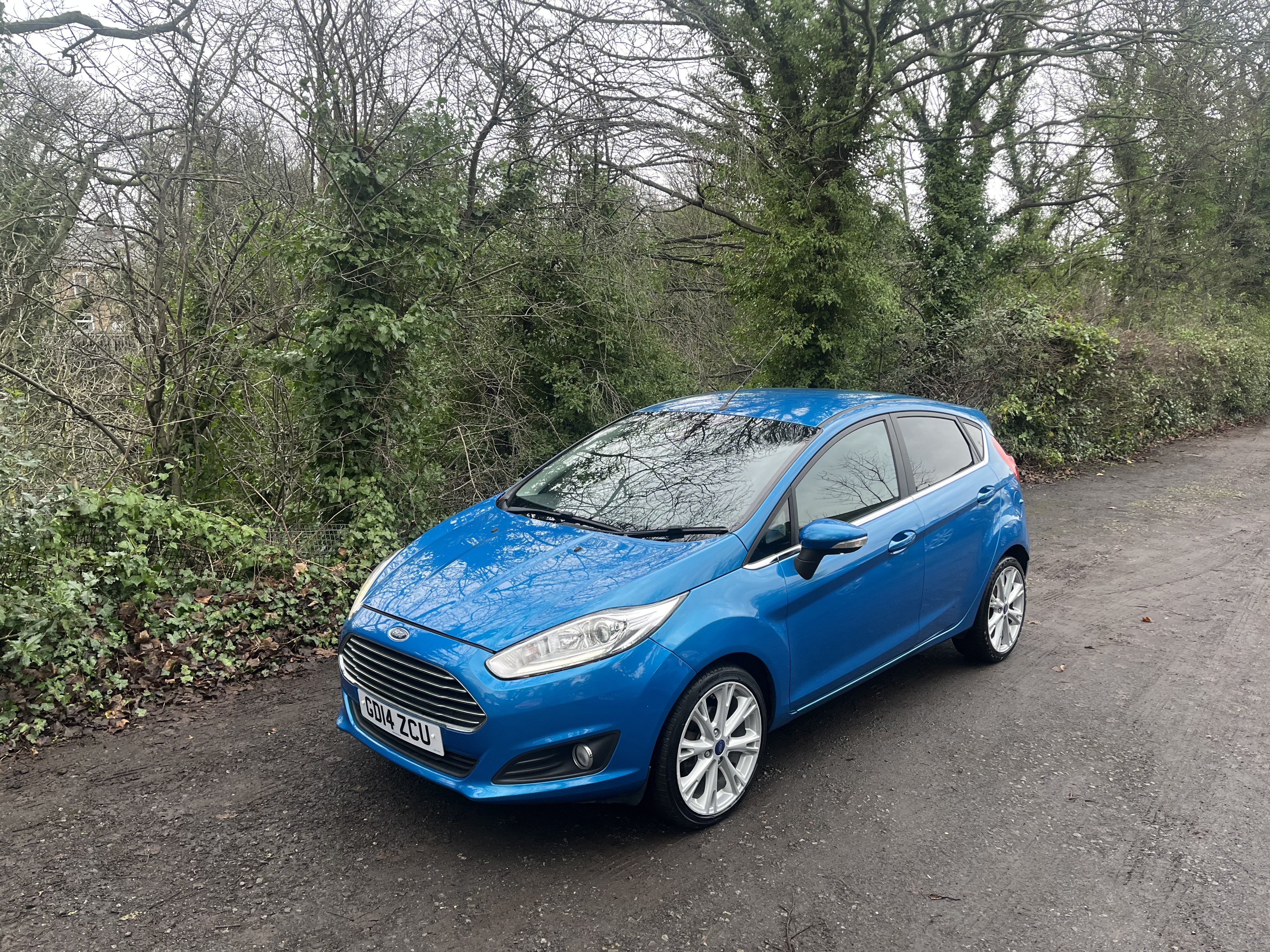 2014 Ford Fiesta Titanium thumbnail 2