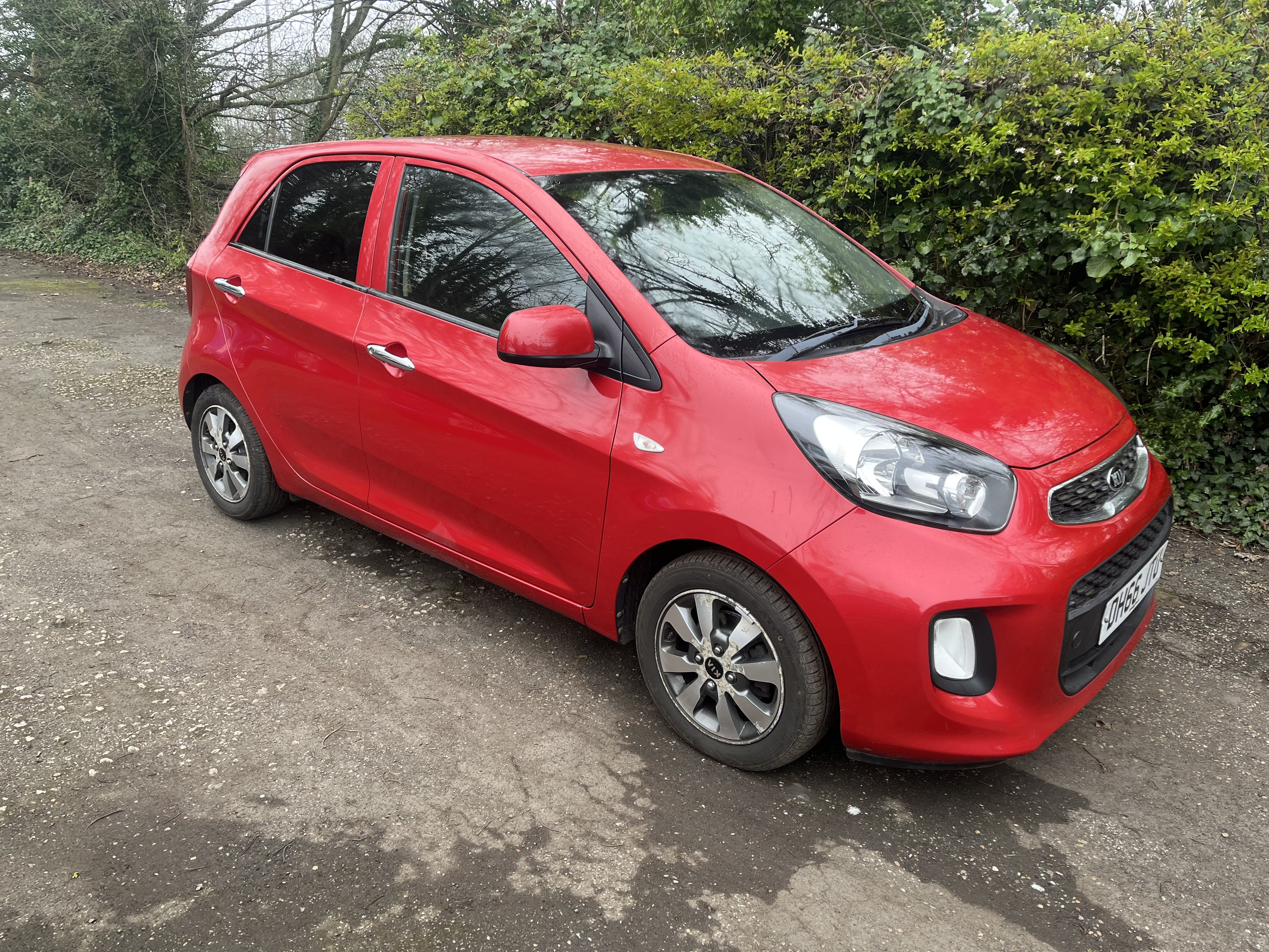 2016 Kia Picanto 1.0 EcoDynamics SE Euro 6 (s/s) thumbnail 4