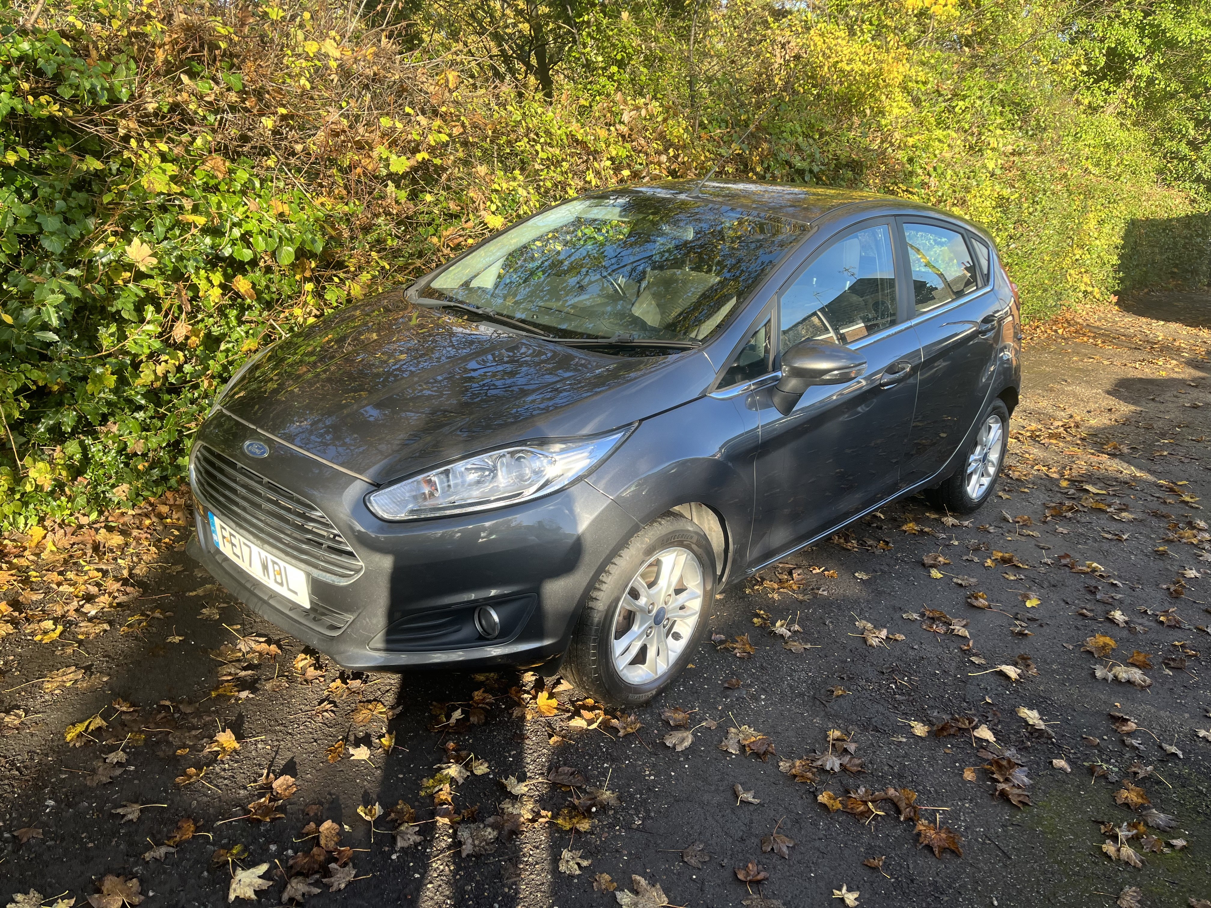 2017 Ford Fiesta Zetec exterior view