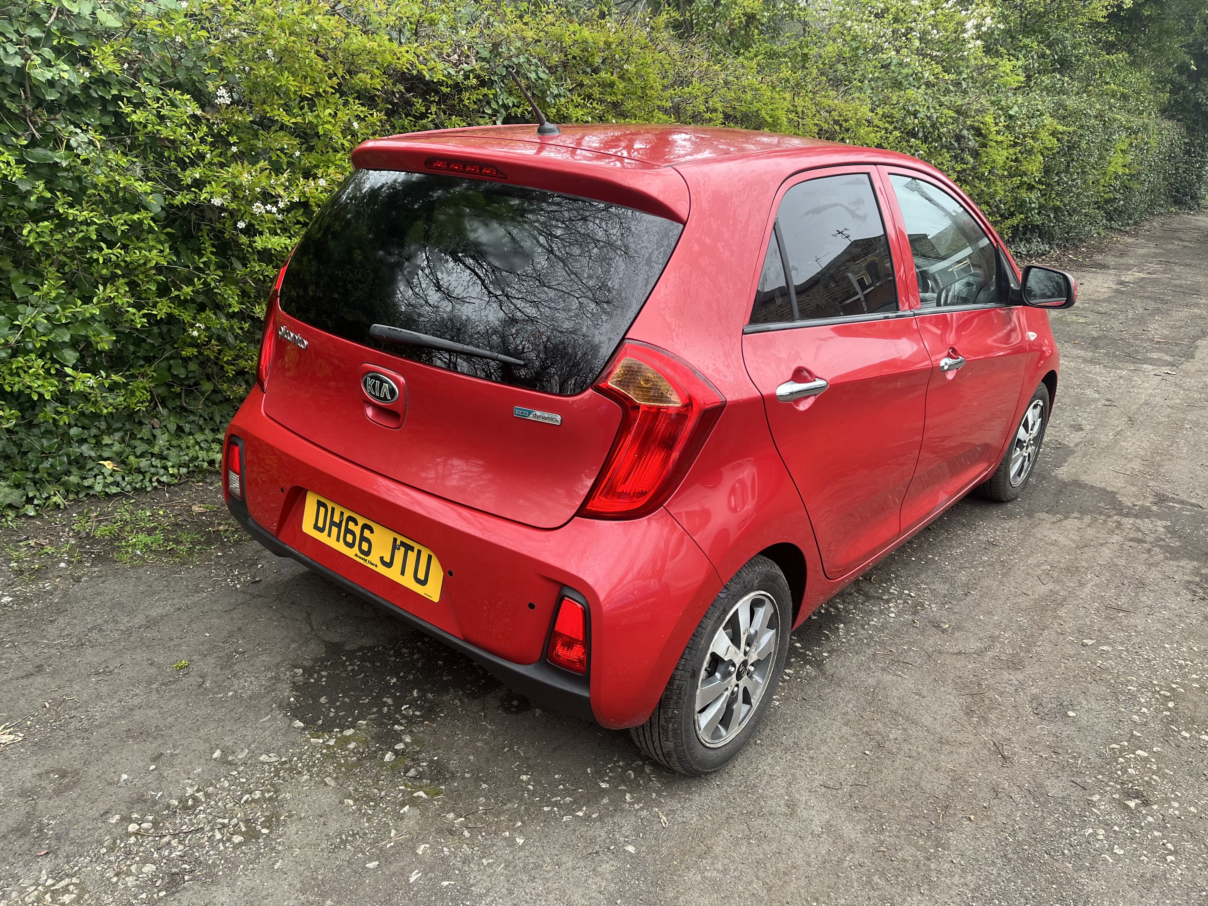 2016 Kia Picanto 1.0 EcoDynamics SE Euro 6 (s/s) thumbnail 5