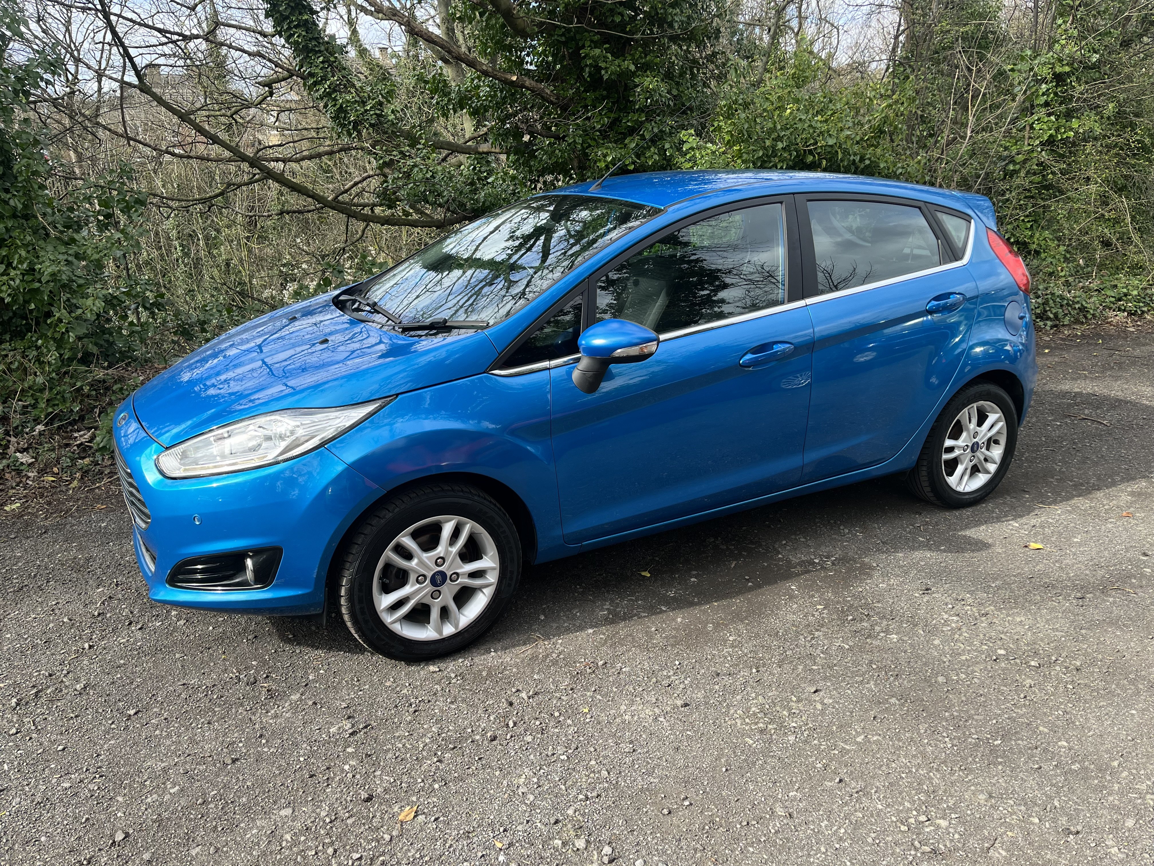 2016 Ford Fiesta Zetec exterior view