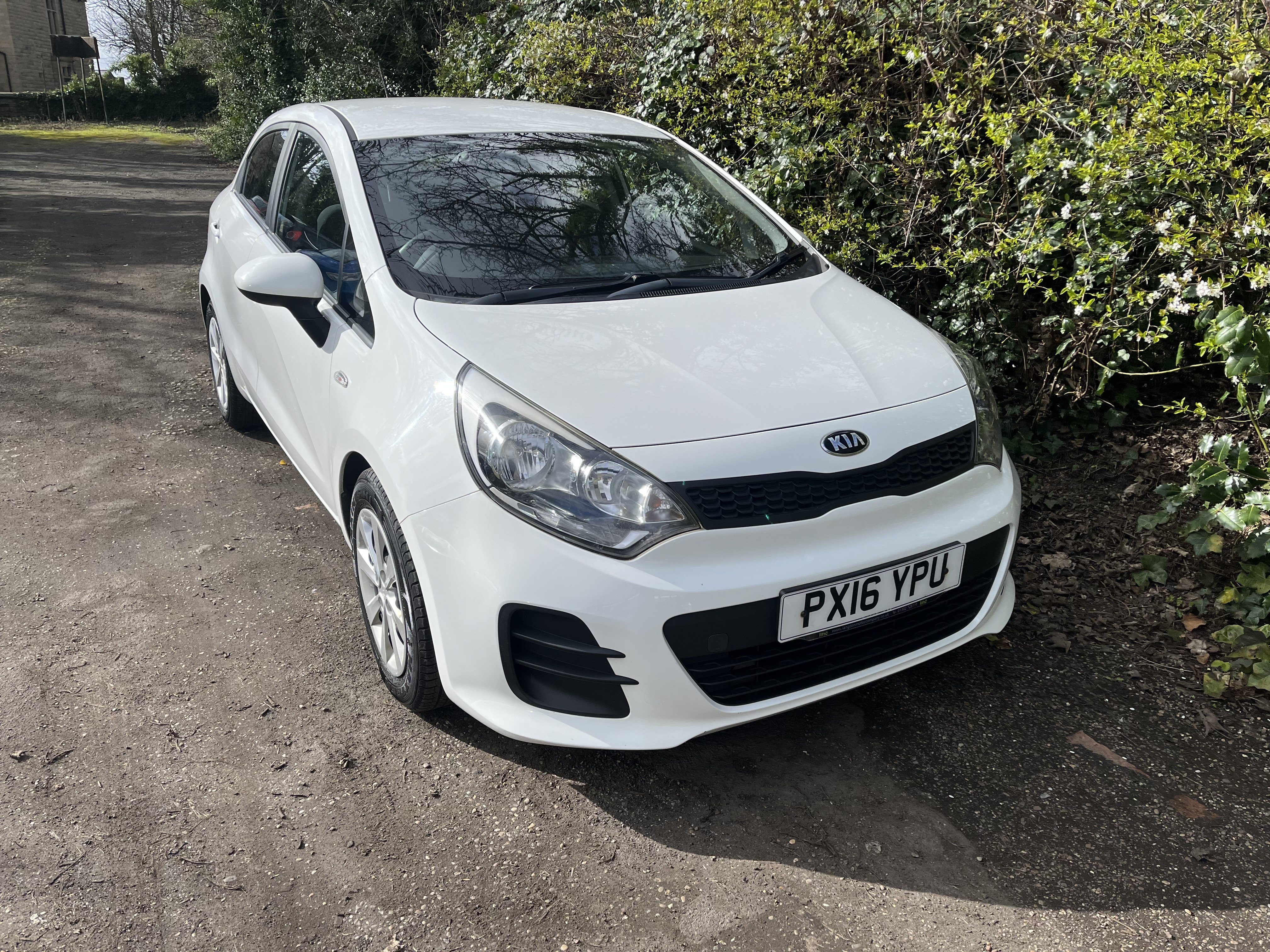 2016 Kia Rio 1.2 thumbnail 2