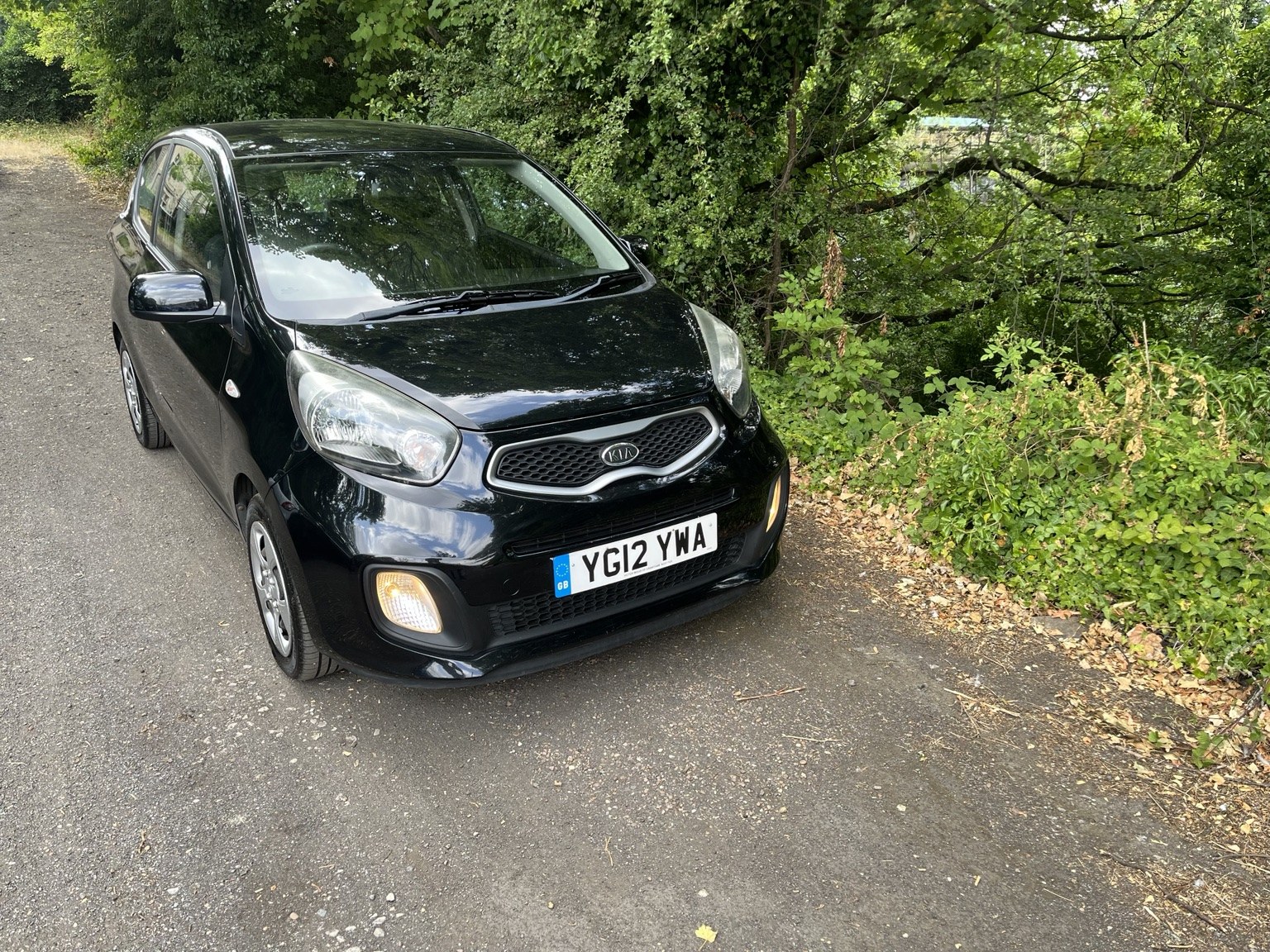 2012 Kia Picanto 1.0 thumbnail 5