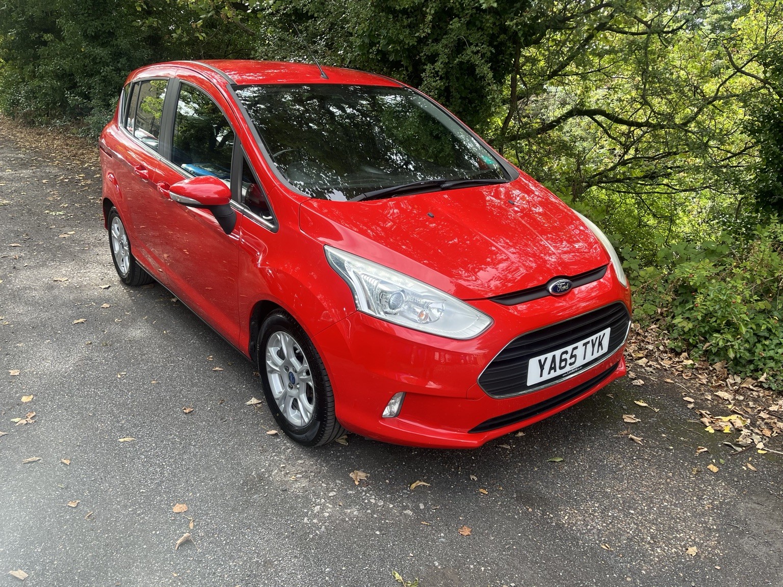 2016 Ford B-MAX 1.4 Zetec 5 Door thumbnail 3